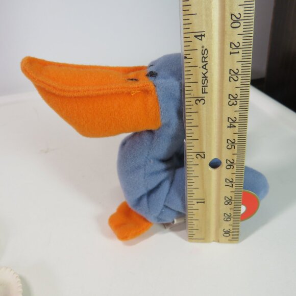 sea shells, acrylic sea turtle, TY Scoop pelican collection - Picture 5 of 13